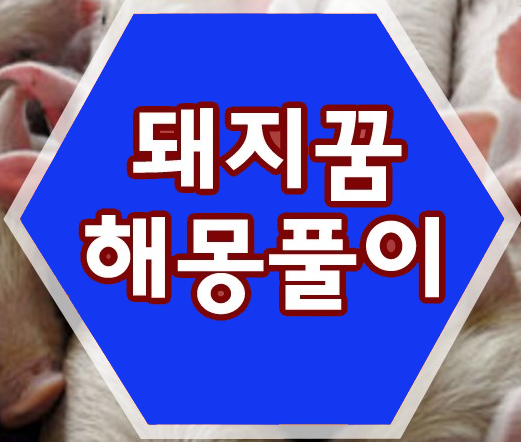  돼지꿈해몽풀이