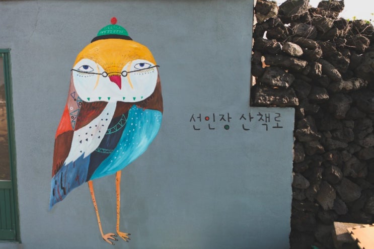  [아이와 제주] 오후의 해안가 산책, 월령리 선인장마을