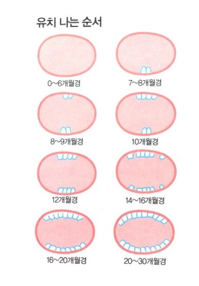  돌아기 이앓이로 힘든 시기 보내고 있어요