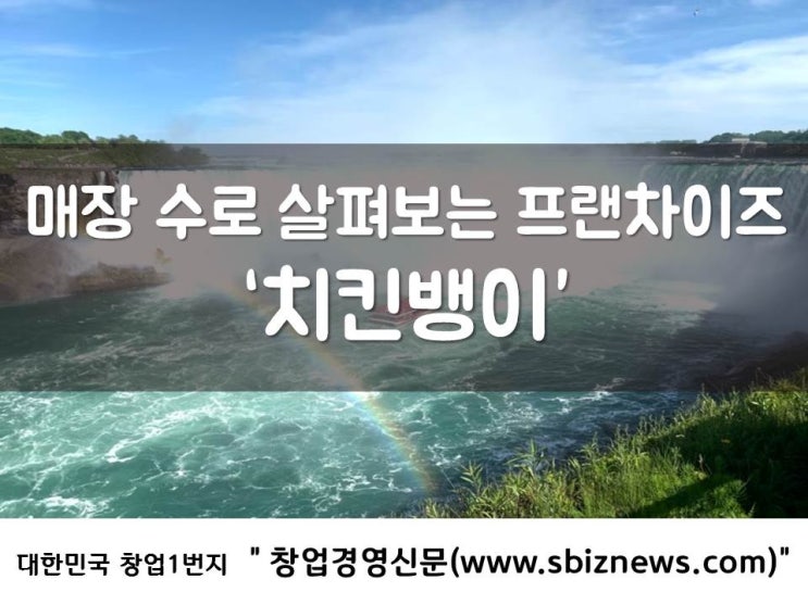  매장 수로 살펴보는 프랜차이즈 ‘치킨뱅이’