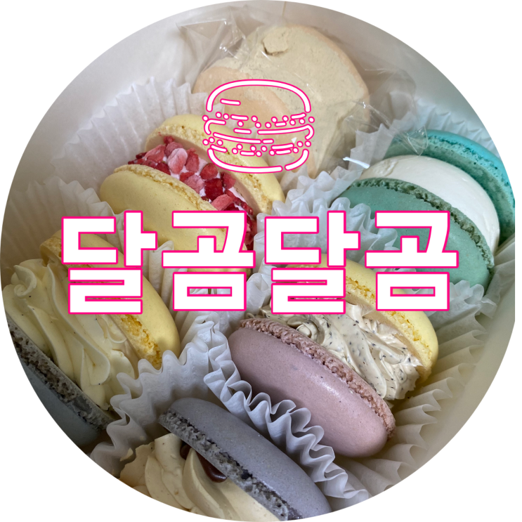  범어동 마카롱 : 달곰달곰/대구 수성구 뚱카롱 맛집