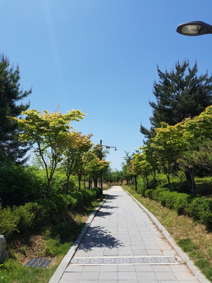  문정 산책: 법조타운 근린공원