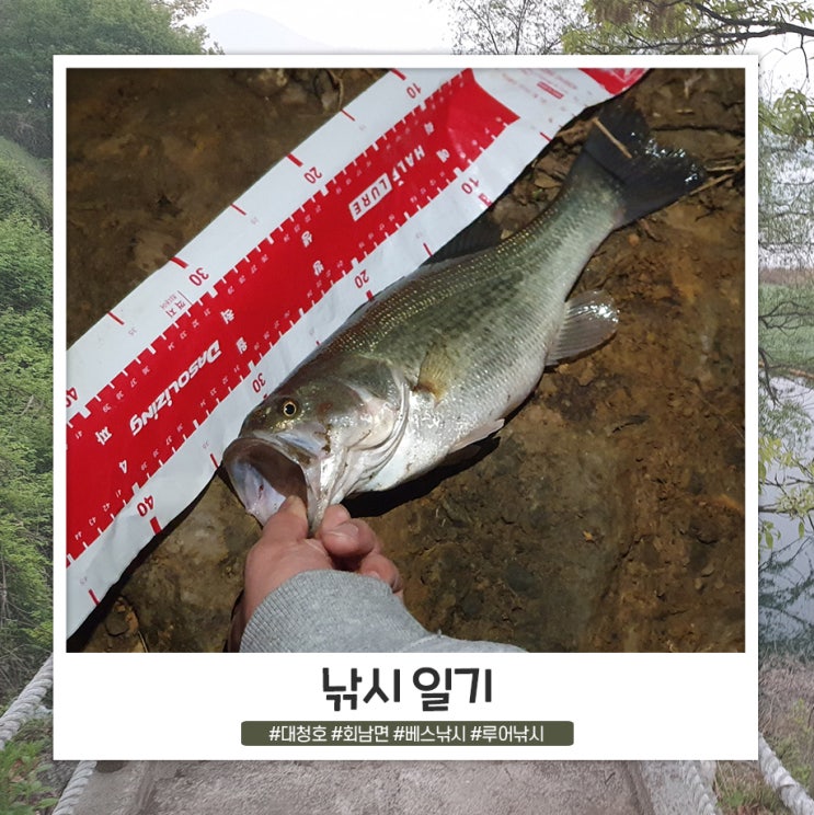 1박 2일 친구들과 함께한 대청호 베스 낚시 1박 2일 친구들과 함께한 대청호 베스 낚시