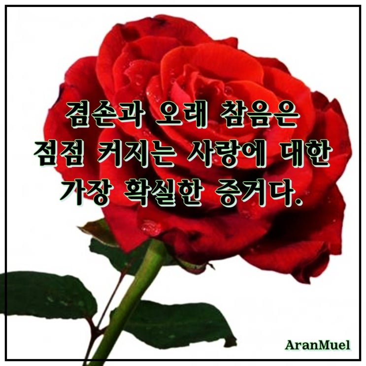  겸손과 오래 참음은 점점 커지는 사랑에 대한 가장 확실한 증거다.
