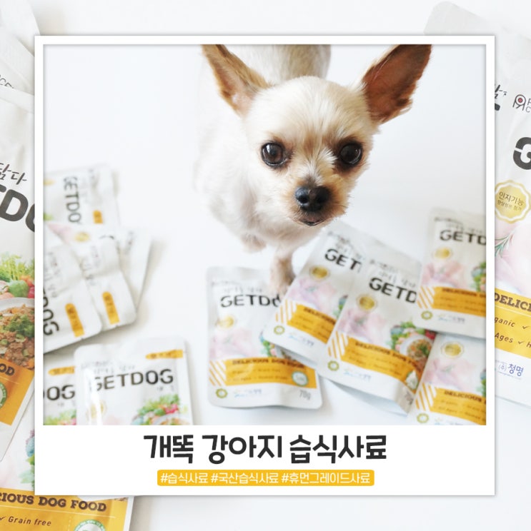 강아지습식사료 해동할 필요 없이 바로 급여하는 개똑 강아지습식사료 해동할 필요 없이 바로 급여하는 개똑