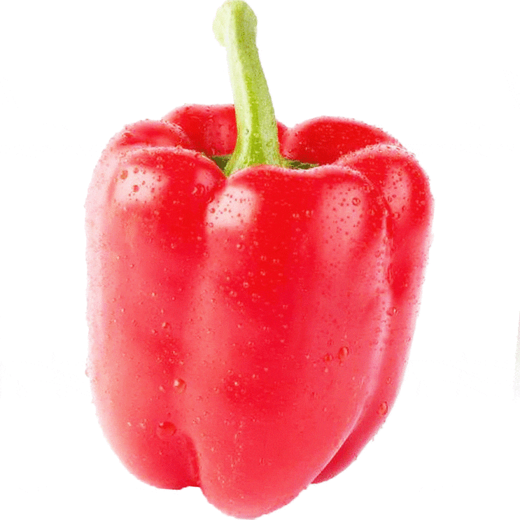  면역력에 좋은 음식 코로나바이러스 예방 차원에서!