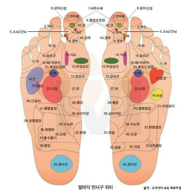 발바닥 지압점 자극하는 발지압판 !! : 네이버 블로그