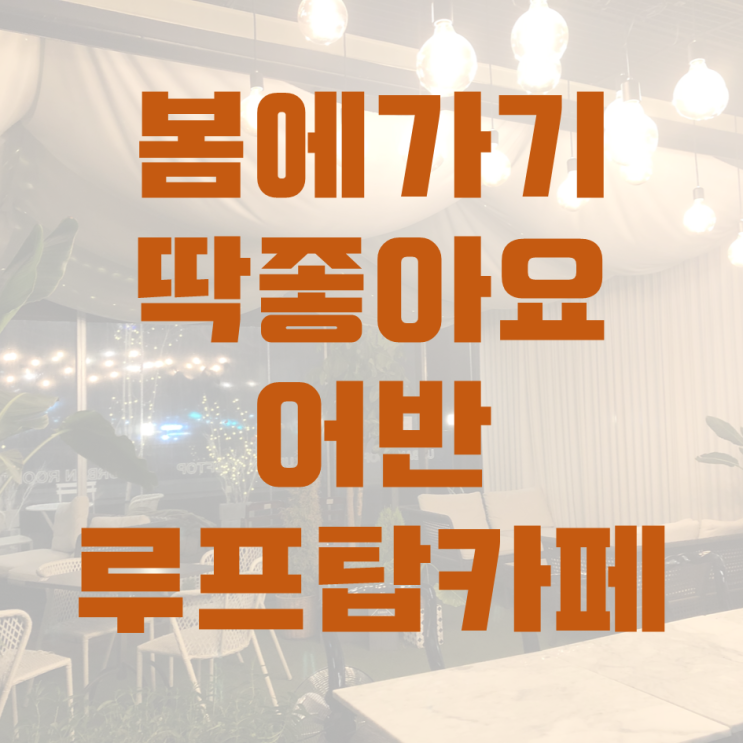  그윽한 달빛 아래 시원한 맥주 한 잔, 어반루프탑카페