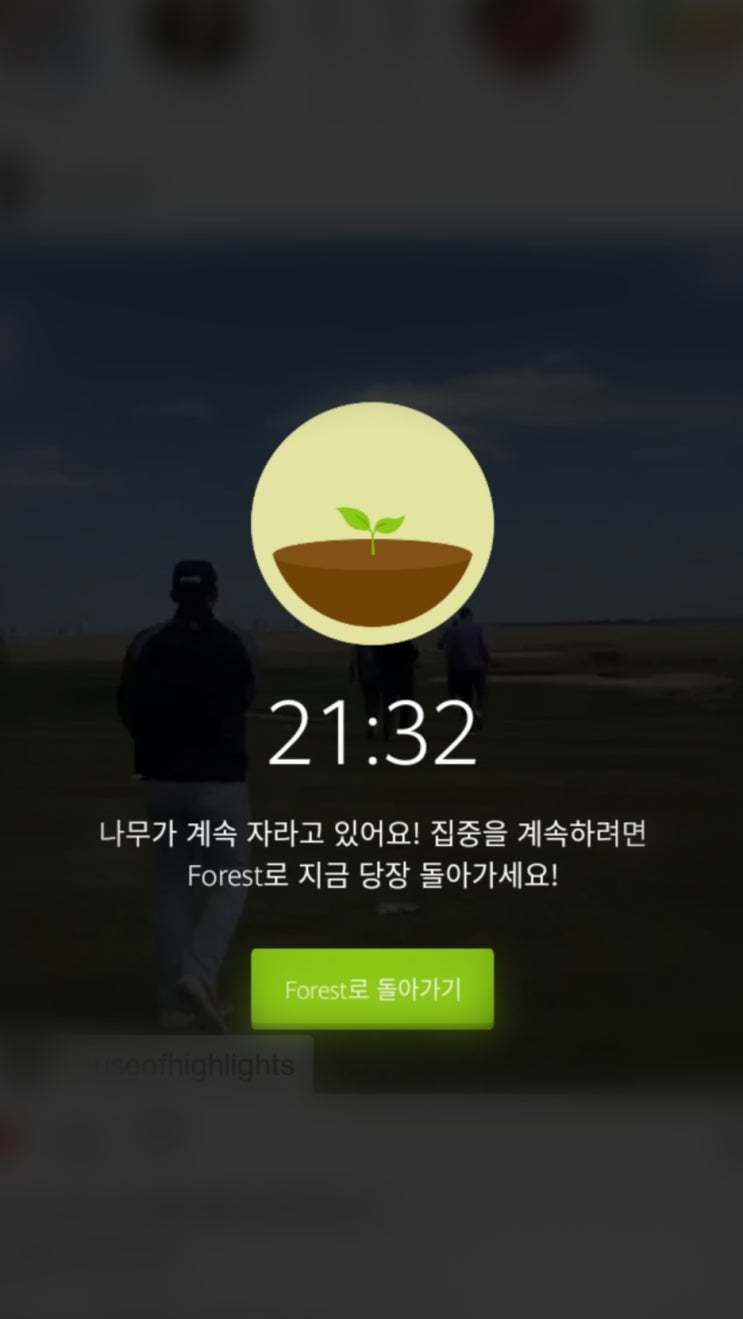  공부할 때 폰 멀리하는 법：나만의 꿀팁 2 (feat.Forest：집중하기)
