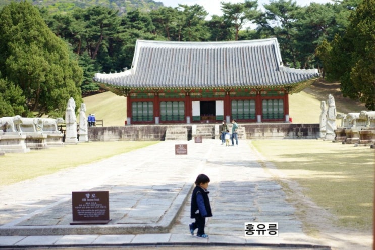  홍유릉에서 역사탐방하면서 가족나들이 즐겨요