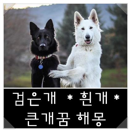 검은개 꿈, 흰개꿈, 큰개꿈 해몽