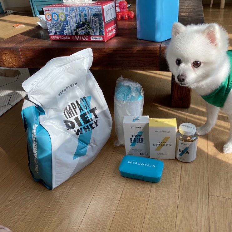  [내돈내산]마이프로틴 흰강낭콩 추출물, Fat binder, cla, impact diet whey 임팩트 다이어트 웨이 솔직 후기
