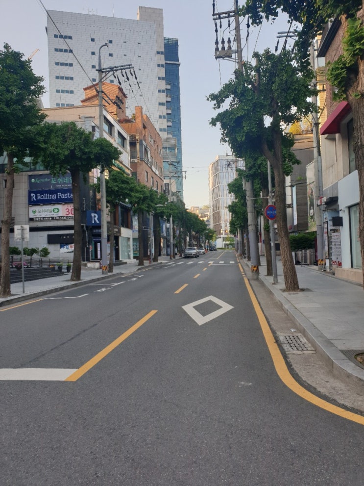  신사동 가로수길 새벽