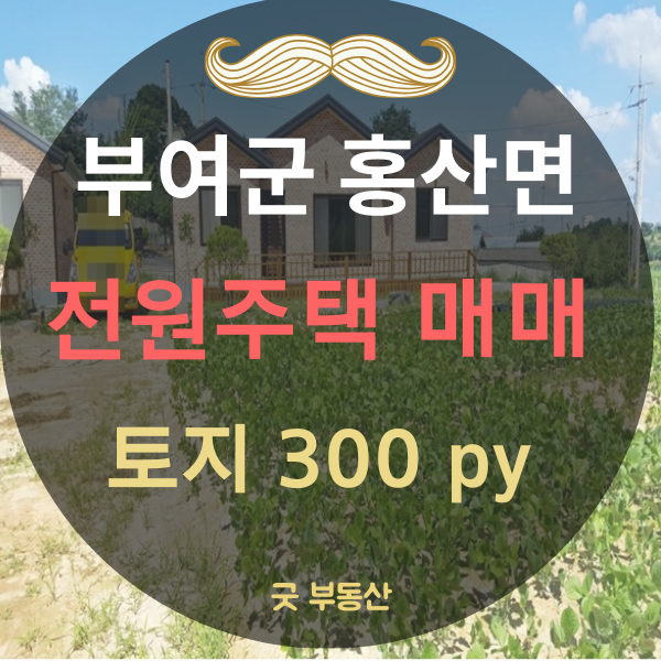 (완료) 전원주택 매매] 충남 부여군 홍산면 전원주택 매매                 토지 990(300)---18500만원