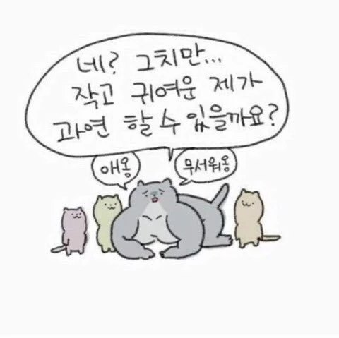  티스토리 블로그 배경화면 색상 바꾸기