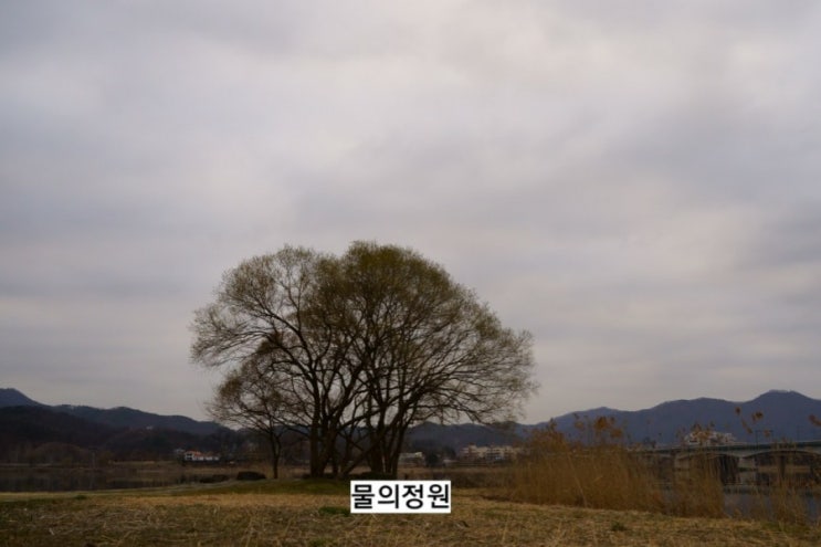  청정지역 남양주 물의 정원  봄나들이 가기