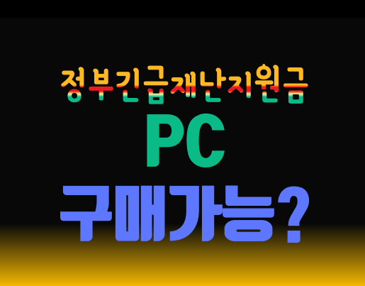  재난지원금으로  PC구매 할수있을까?