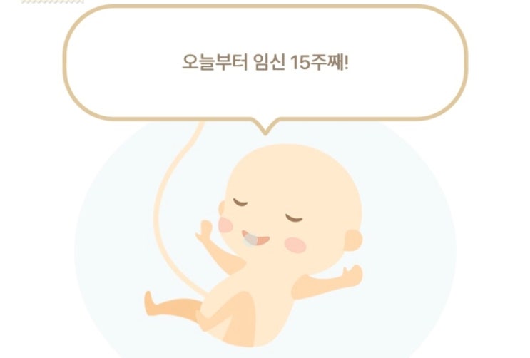  임신 15주 증상!
