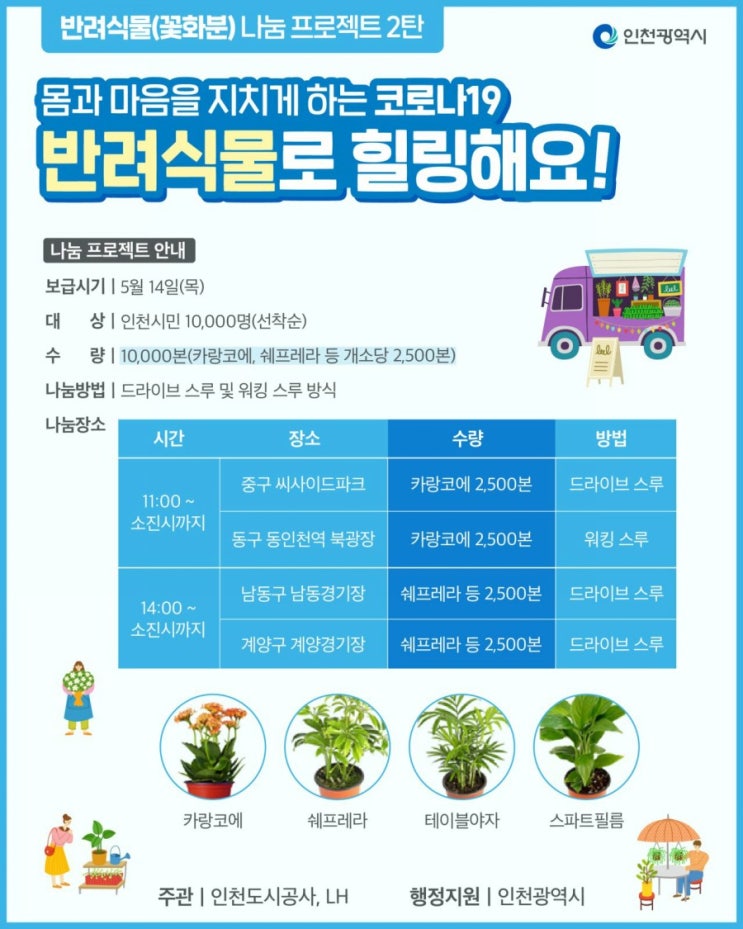 인천 코로나 극복 프로젝트 반려식물 무료나눔