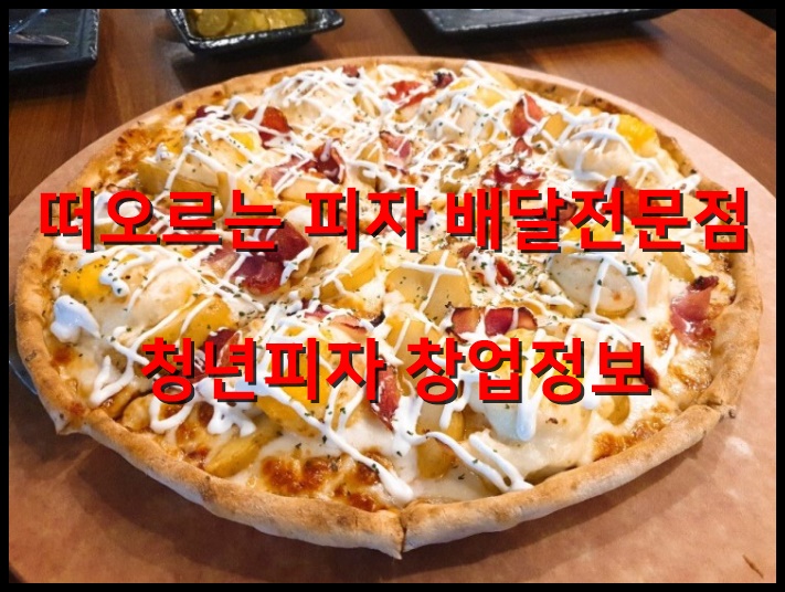  청년피자창업 뜨고있는 피자전문점의 창업비용과 수익성분석