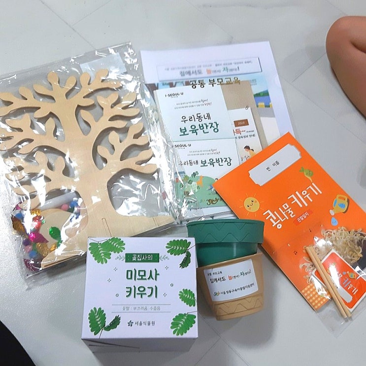  집에서도 놀자! 성동구 육아종합지원센터 / 멋진아이 유레카 놀이키트 <1>