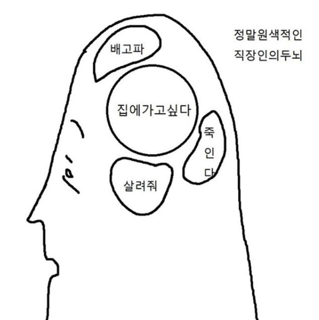  바쁨 