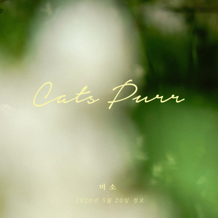  New Thing | 캐츠퍼(Cats Purr) 싱글 [미소]