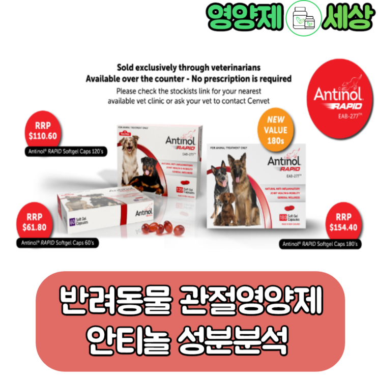  강아지 관절영양제 성분과 급여량 분석