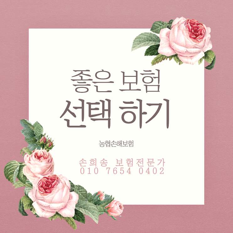  종합 보험은 역시 농협손해보험입니다! 암 뇌혈관 허혈성 진단비까지 가성비 최고