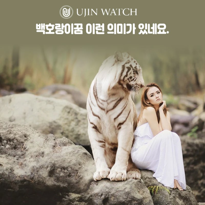 백호랑이꿈 이런 의미가 있네요.