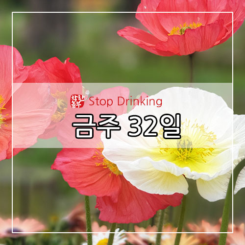 금주(Stop Drinking) 32일 - 술 마시지 마십시오