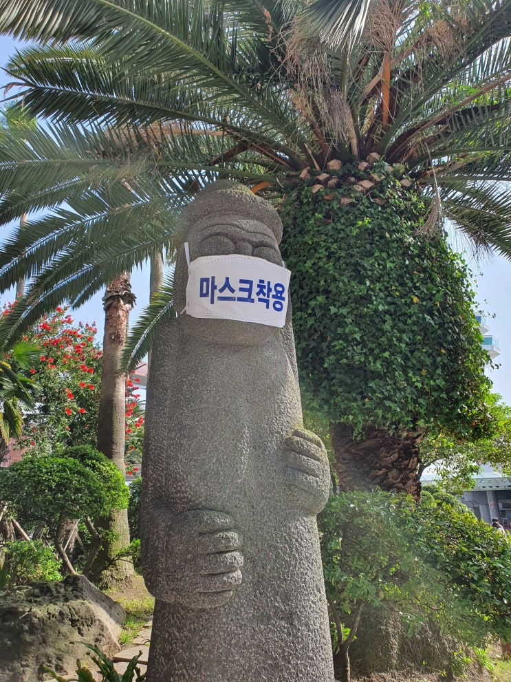  [뷰가 좋은 제주호텔] 성산일출봉이 보이는_더베스트 제주 성산 호텔 추천