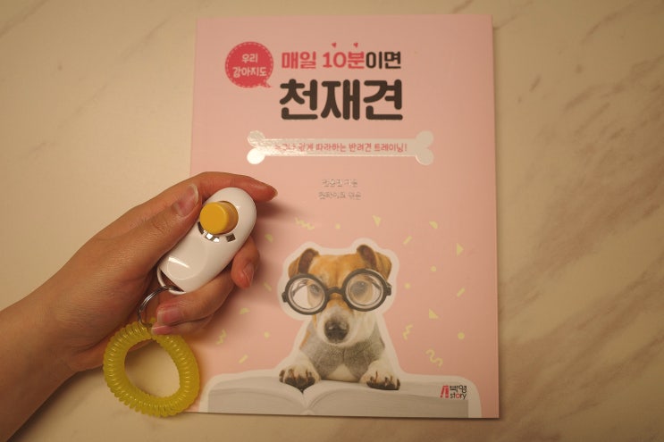  매일 10분이면 천재견 : 강아지배변훈련 강아지분리불안훈련 사회화훈련 쉽고 빠르게!