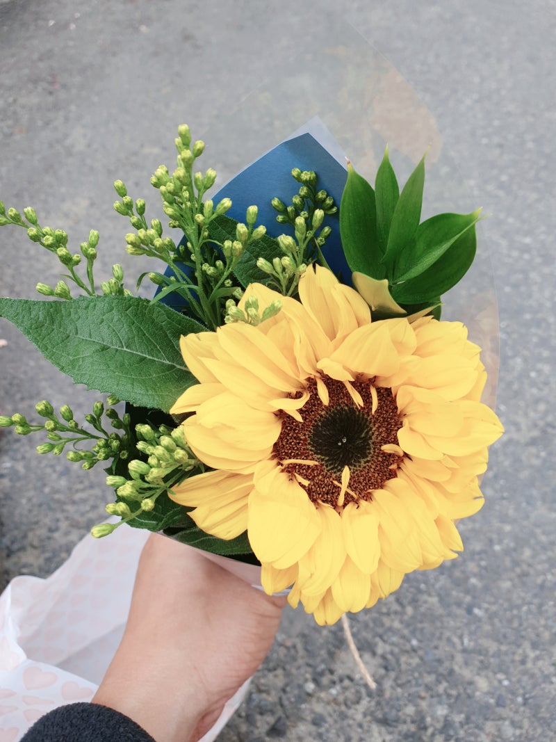 가상화페 사기[불법]리스트 - 백두산 카페 : 네이버 블로그