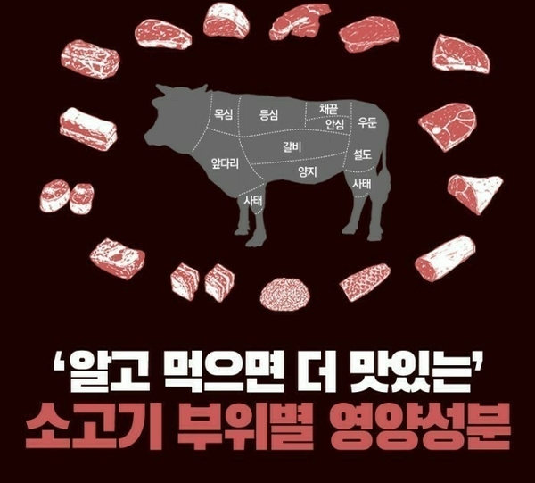  알고 먹으면 더 맛있는 소고기.우리몸에 채워주는 한우 부위별 영양성분.