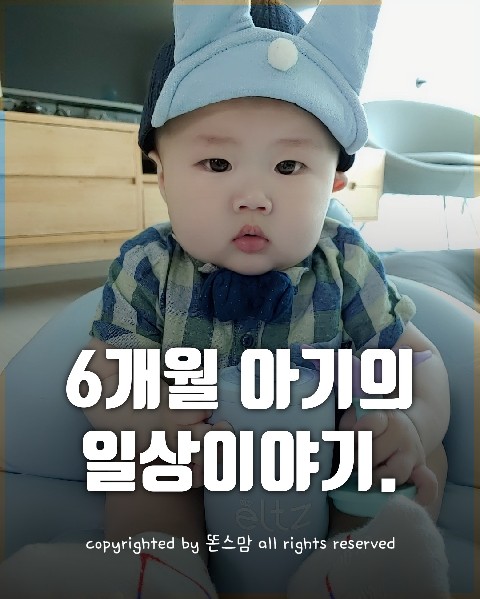 6개월 아기 육아일기  183일~186일 (아기옷 브랜드별 사이즈정보 포함)