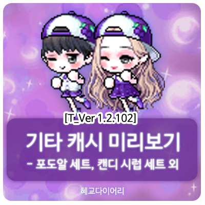  [신규 캐시 T_1.2.102] 메이플스토리 테스트서버(테섭) 캐시미리보기 : 포도알 세트, 캔디 시럽 세트 외 기타 캐시아이템