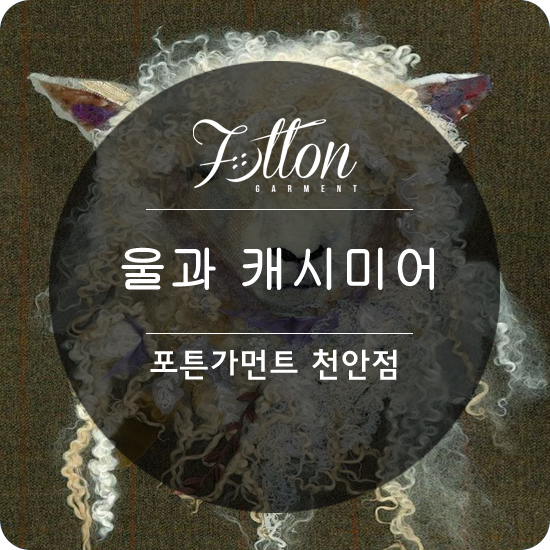  [ 천안맞춤정장 ] 울과 캐시미어의 차이.