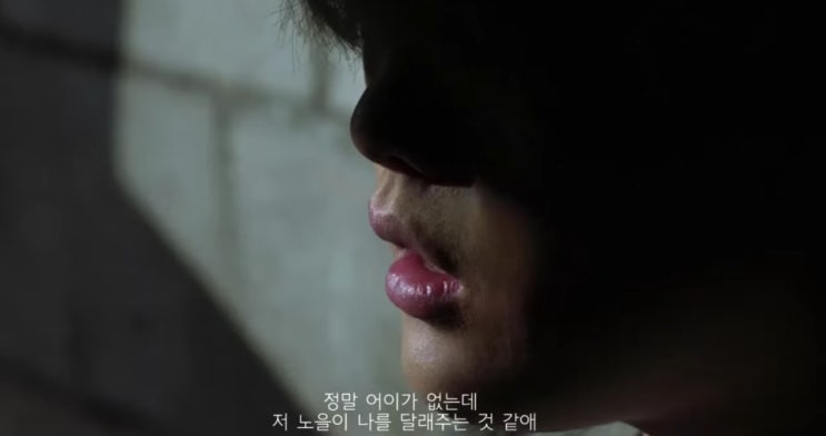  빈첸 노을 을 들으며 오픈탑 버스를 타보자 !! ( feat. 오반 )
