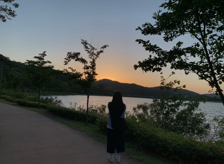  모순적인 행복