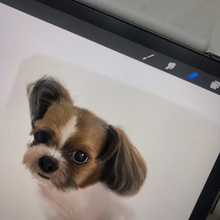  오늘