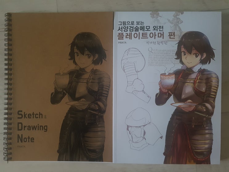  그림으로 보는 서양검술메모 외전 플레이트 아머