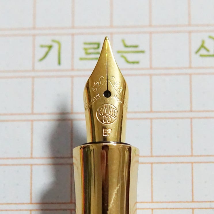  하늘이 기르는 식물 (카웨코 스튜던트 60’s 스윙 EF닙)
