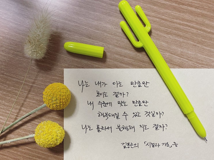  책장 속 한 줄: 김봉곤 '시절과 기분' 5