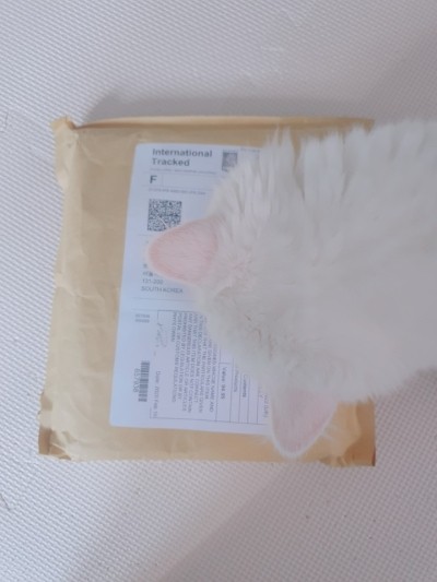  고양이 심장사상충 약 애드보킷 직구했습니다!