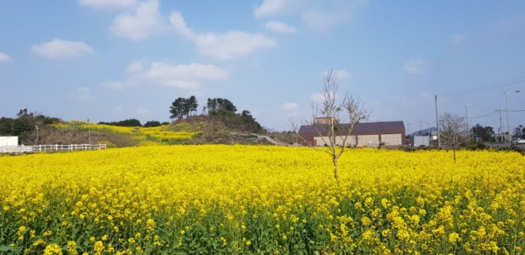  제주특가골프 1박2일