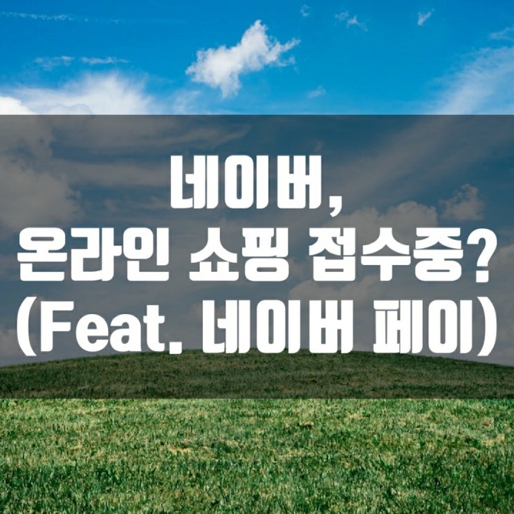 네이버, 온라인 쇼핑 접수중? (Feat. 네이버 페이)