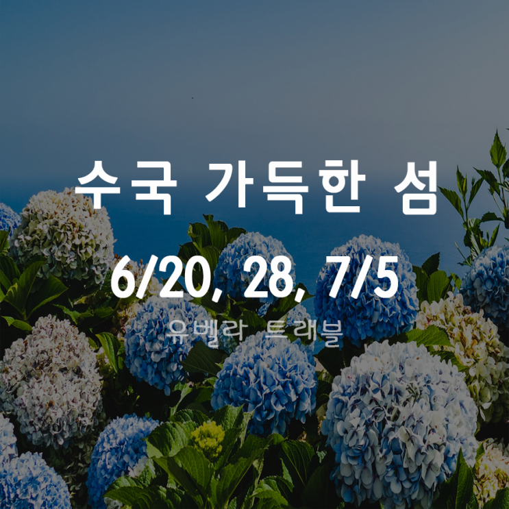  [부산출발] 통영 연화도 보덕암 수국길 수국축제 부산수송버스포함