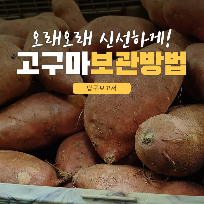 오래오래 신선하게! 고구마 보관방법 : 네이버 블로그 오래오래 신선하게! 고구마 보관방법 : 네이버 블로그