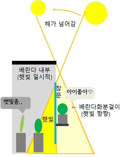  베란다 식물이 시들시들한 이유와 해결법 (feat. 간단 베란다 확장)